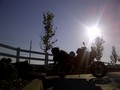 2011 Ride